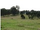 Wingham NSW 2429