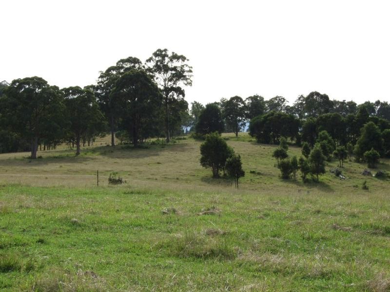 Wingham NSW 2429