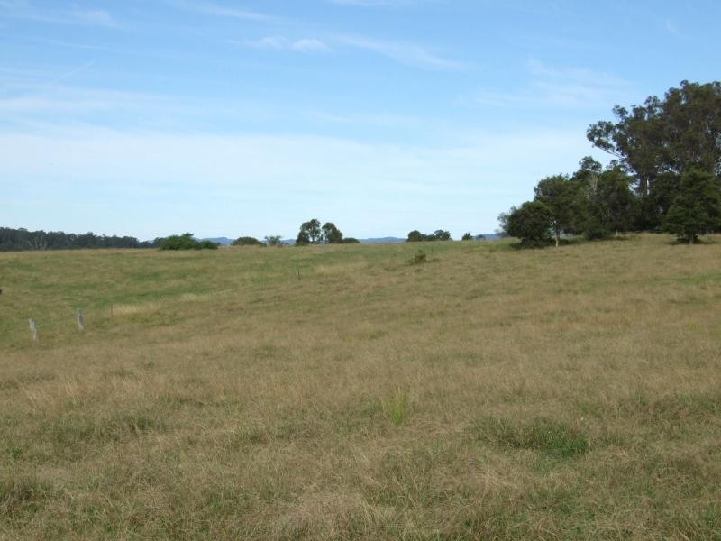 Wingham NSW 2429