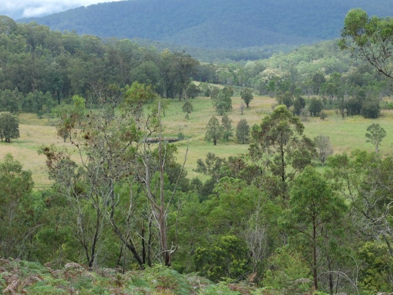 Mount George NSW 2424