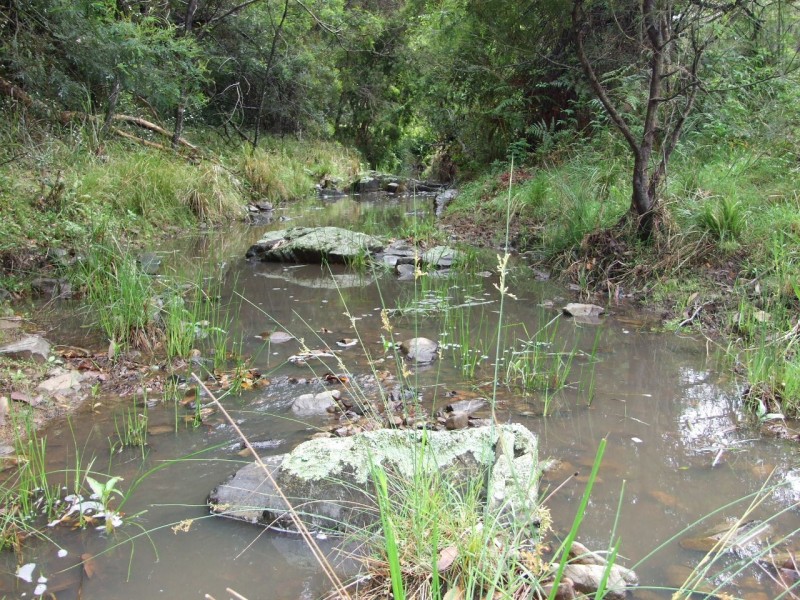 Mount George NSW 2424