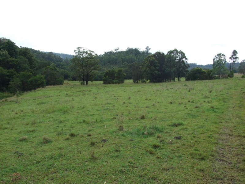 Mount George NSW 2424