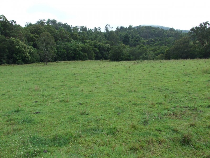 Mount George NSW 2424