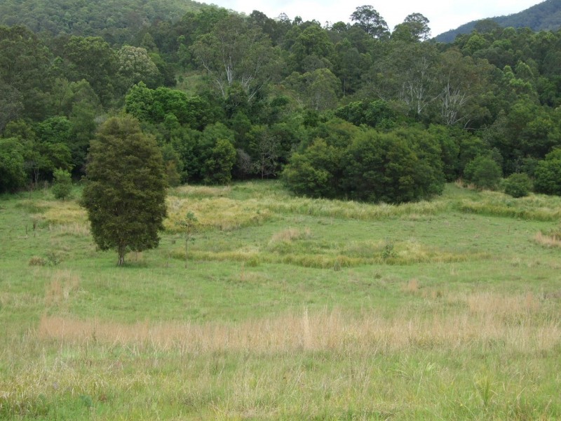 Mount George NSW 2424