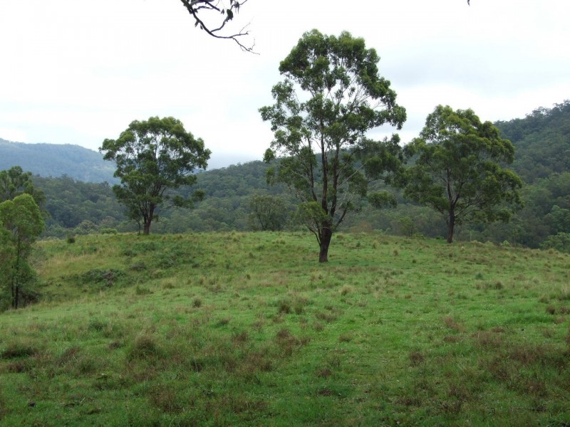 Mount George NSW 2424