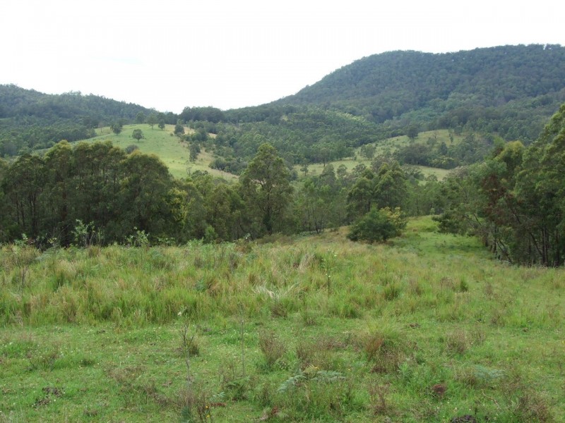 Mount George NSW 2424