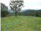Mount George NSW 2424