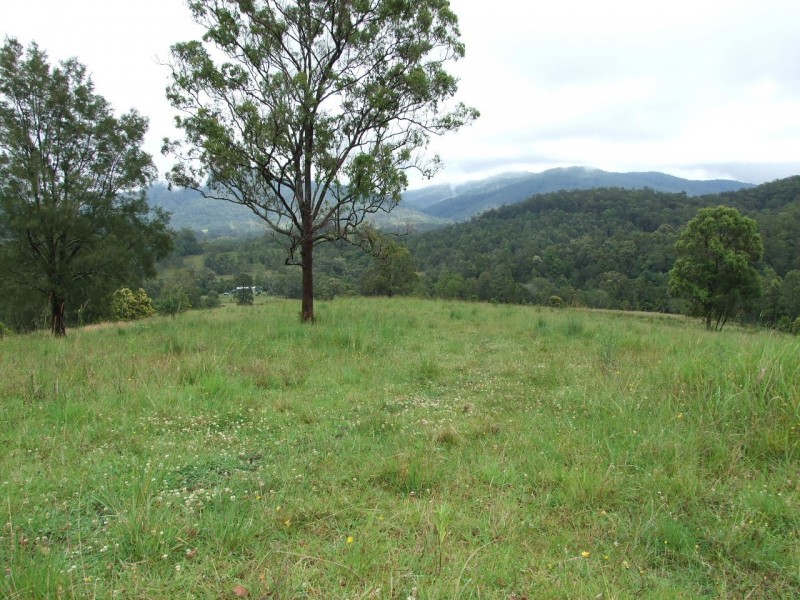 Mount George NSW 2424