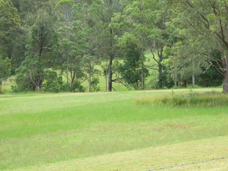 Mount George NSW 2424