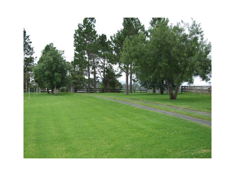 Wingham NSW 2429