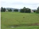 Wingham NSW 2429
