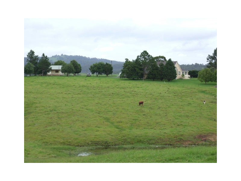 Wingham NSW 2429