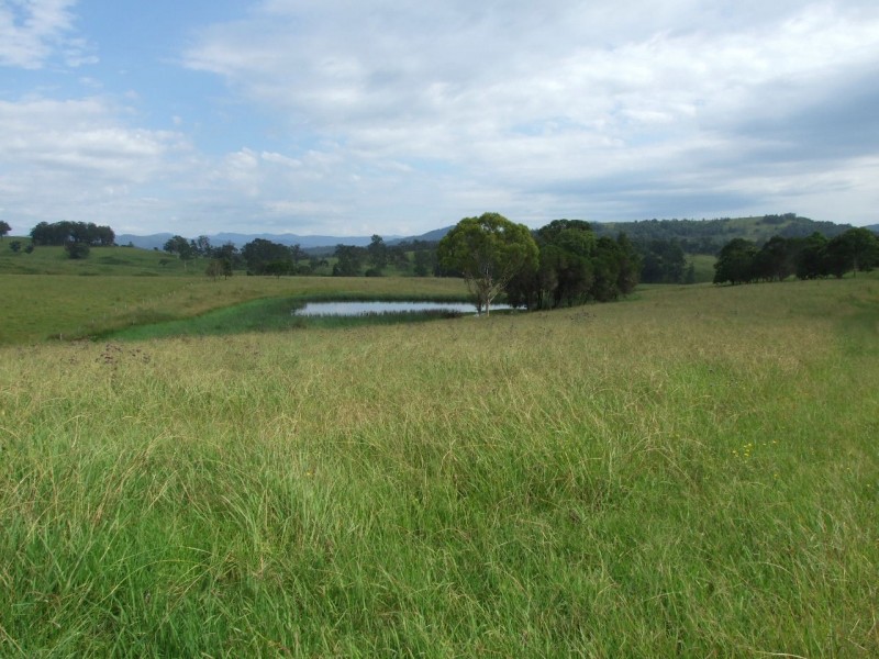 Wherrol Flat NSW 2429