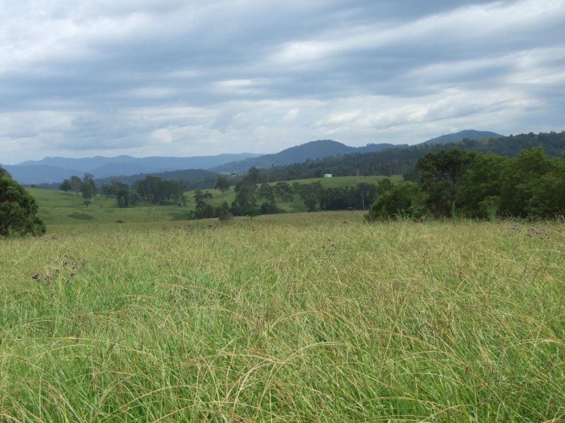 Wherrol Flat NSW 2429