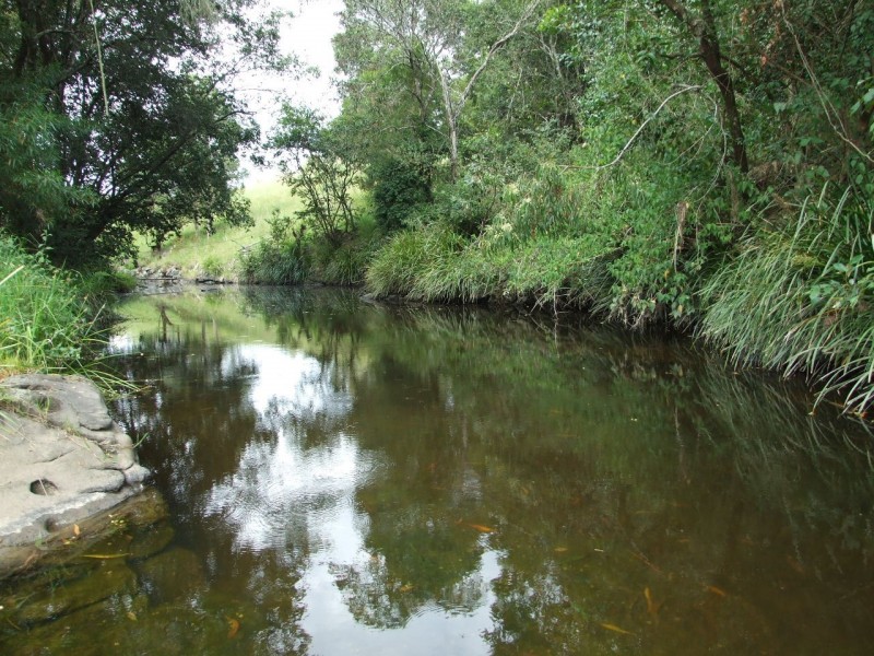 Wherrol Flat NSW 2429