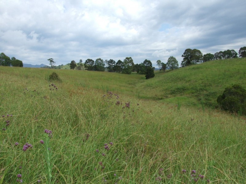 Wherrol Flat NSW 2429