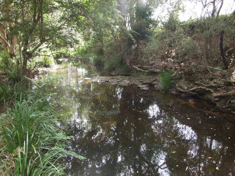 Wherrol Flat NSW 2429