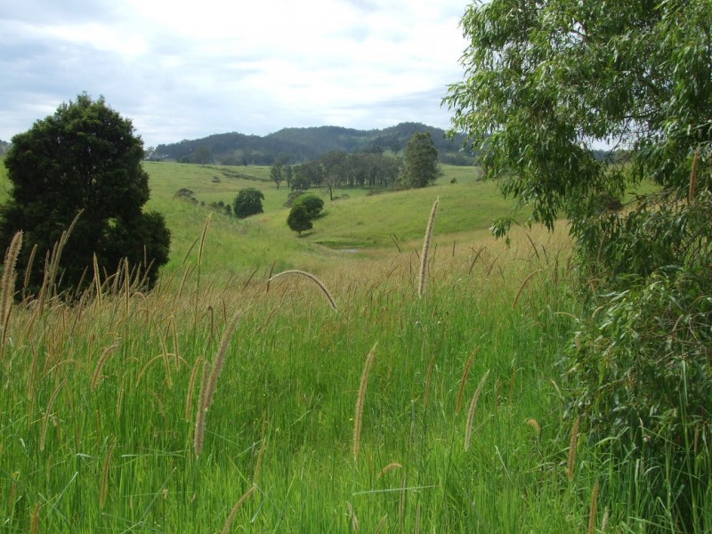 Wherrol Flat NSW 2429