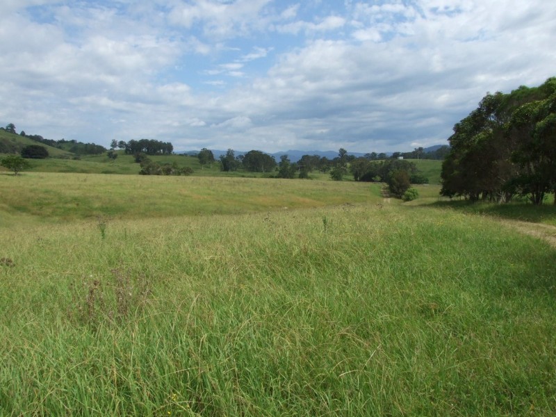 Wherrol Flat NSW 2429