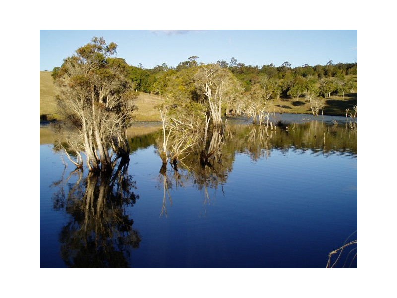 Tinonee NSW 2430