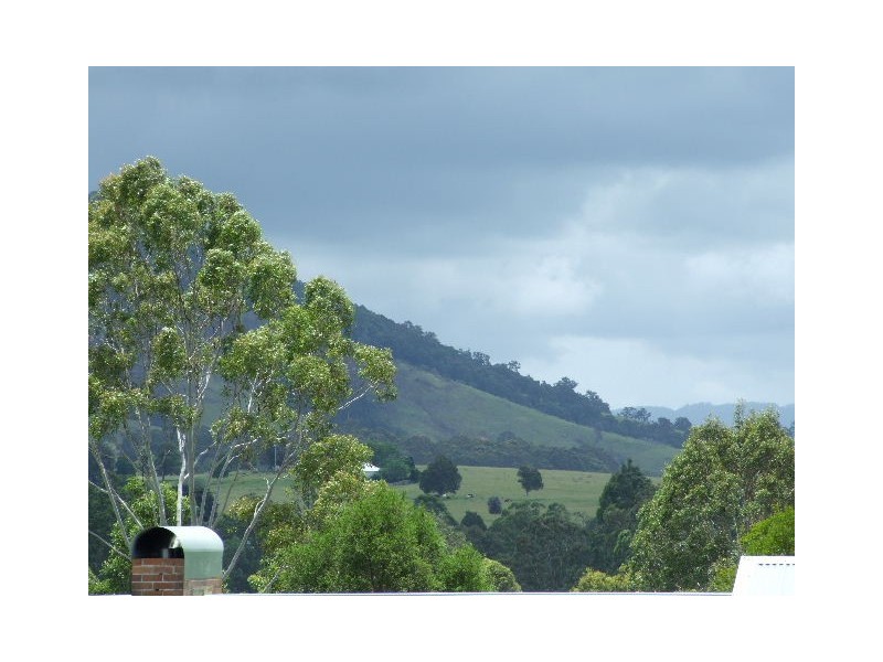 Wingham NSW 2429