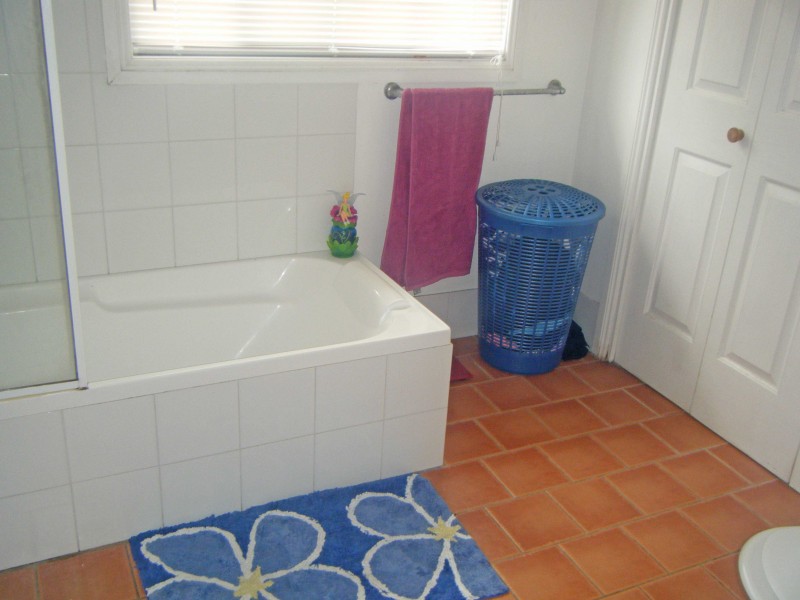 20 William Street, Wingham NSW 2429