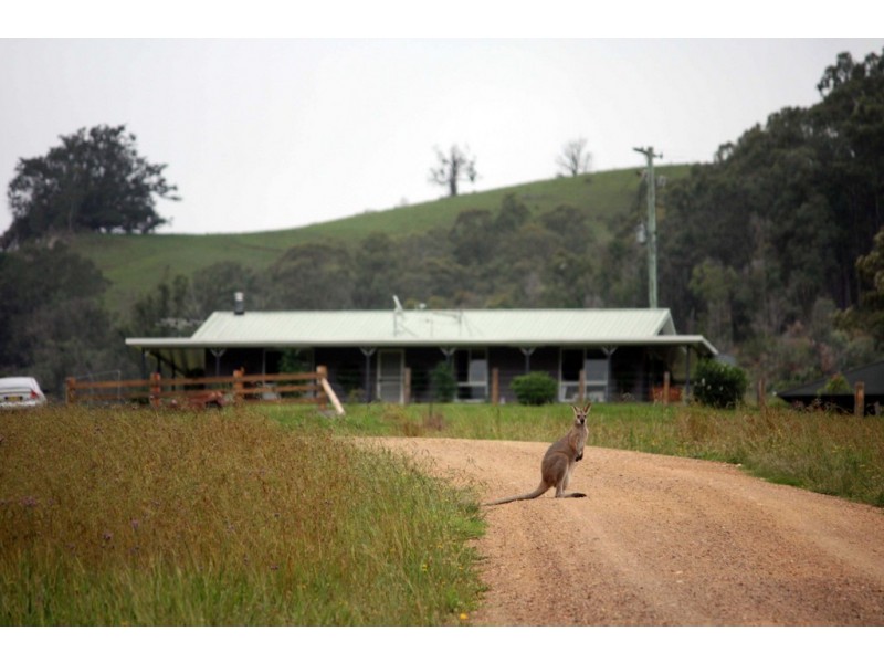 211 Little Run Road, Wherrol Flat NSW 2429