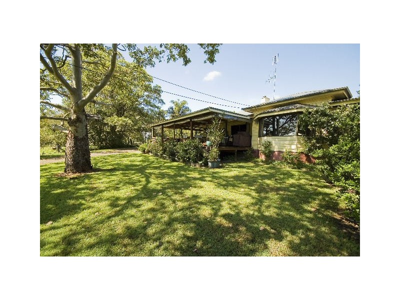 Kimbriki NSW 2429