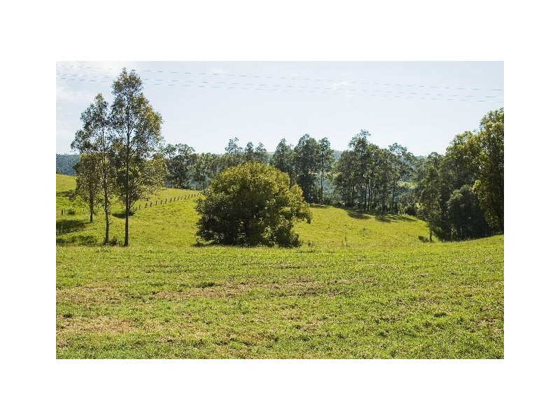 Kimbriki NSW 2429