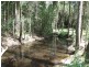 Taree NSW 2430