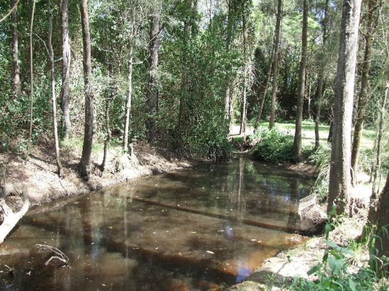 Taree NSW 2430