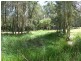 Taree NSW 2430