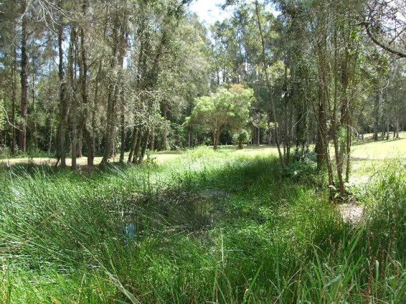 Taree NSW 2430