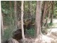 Taree NSW 2430
