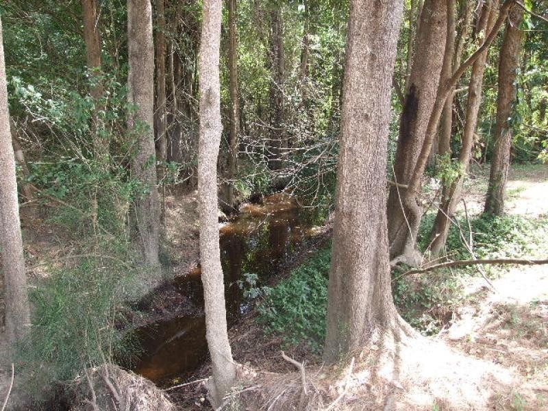 Taree NSW 2430