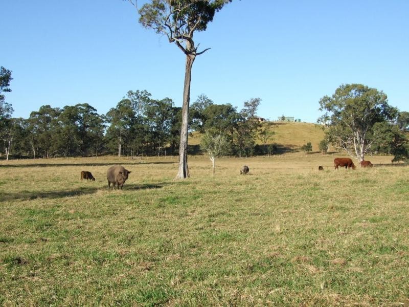 Burrell Creek NSW 2429
