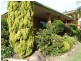 Taree West NSW 2430