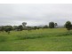 16 Helmich Close, Wingham NSW 2429