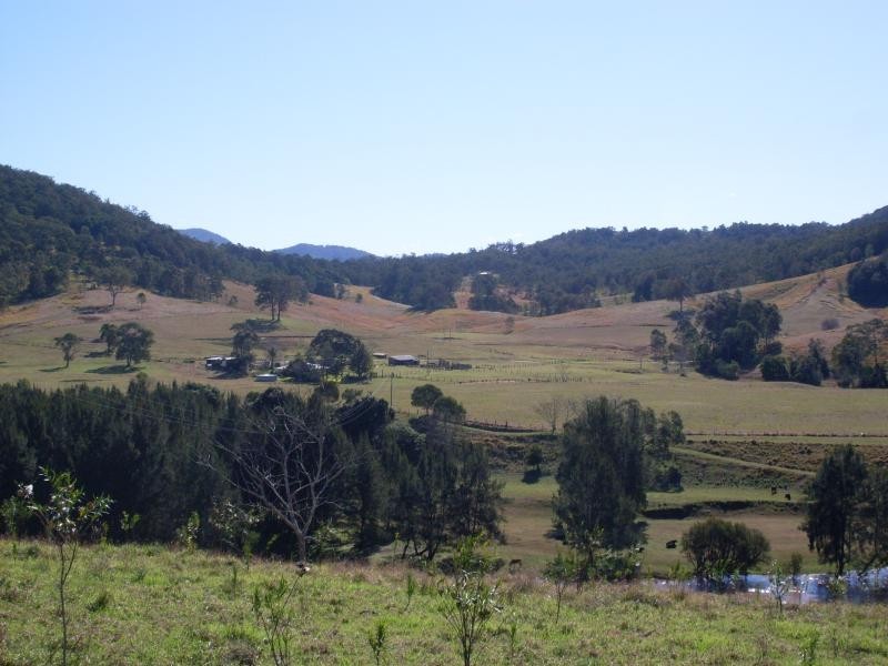 2643 Nowendoc Road, Knorrit Flat NSW 2424