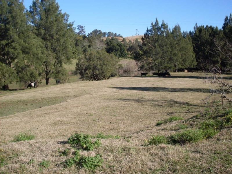 2643 Nowendoc Road, Knorrit Flat NSW 2424