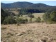 2643 Nowendoc Road, Knorrit Flat NSW 2424