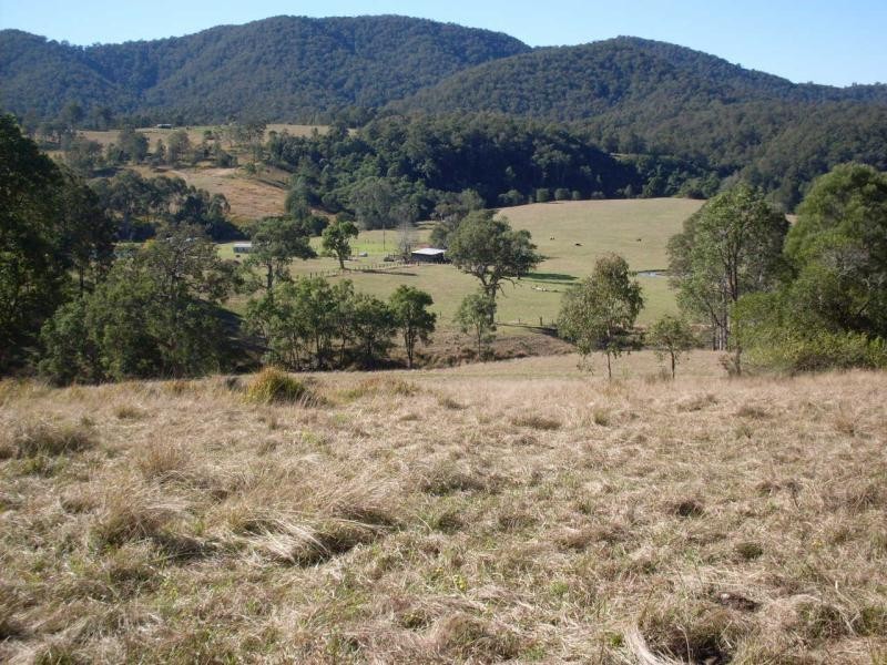 2643 Nowendoc Road, Knorrit Flat NSW 2424