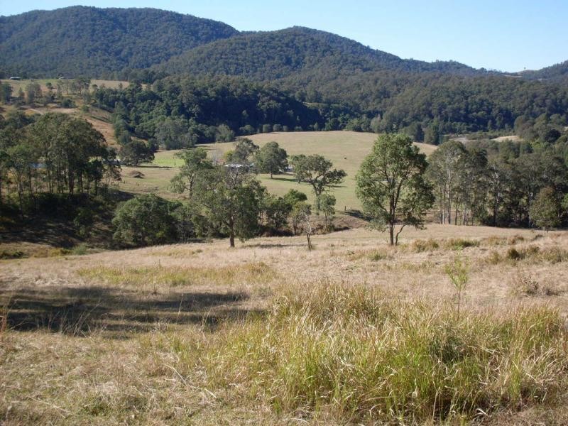2643 Nowendoc Road, Knorrit Flat NSW 2424