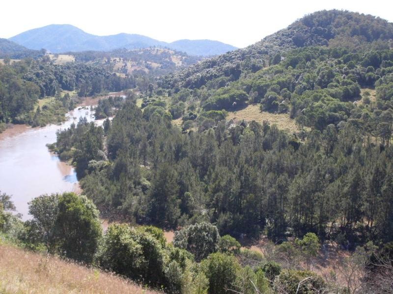 2643 Nowendoc Road, Knorrit Flat NSW 2424