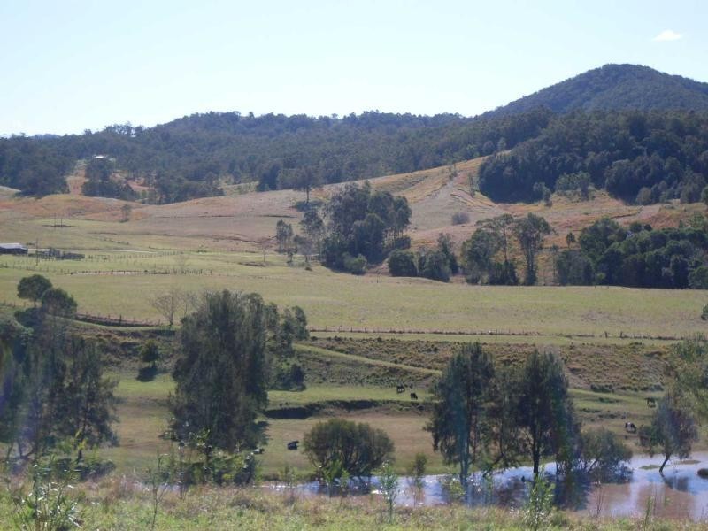 2643 Nowendoc Road, Knorrit Flat NSW 2424