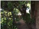 Taree NSW 2430