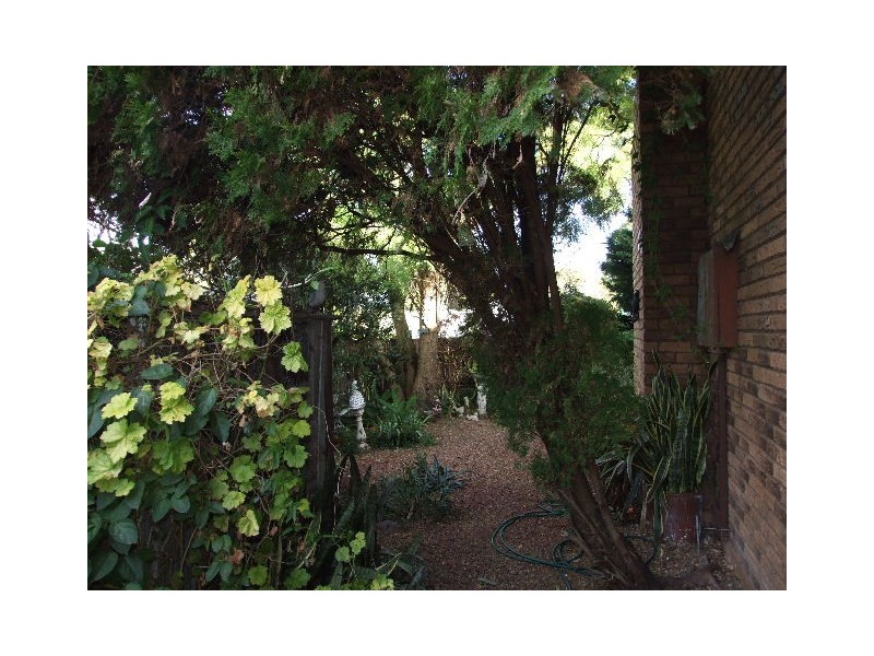 Taree NSW 2430