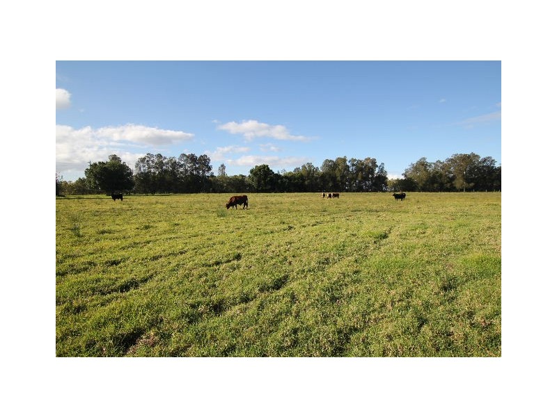 Ghinni Ghinni NSW 2430