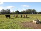 Ghinni Ghinni NSW 2430