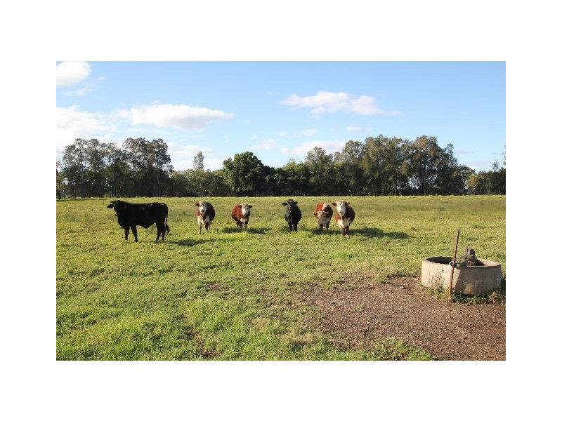 Ghinni Ghinni NSW 2430